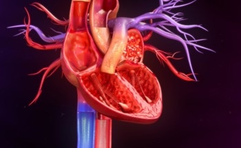 AI Identifies Aortic Stenosis Patients at High Risk of Mortality