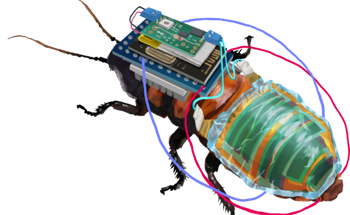 Power-Rechargeable Cyborg Insect with Organic Solar Cell Module