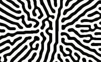 Bacterial Growth Patterns Can Used as AI Message Decoders