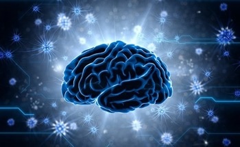 DNNs to Assess How Human Brain Functions Compare to AI Models