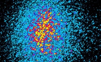 Advancing Materials Research with Artificial Intelligence