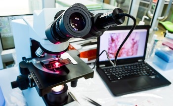 Curium and Linh AI Partner to Generate High-Quality Ground Truths for ML Training