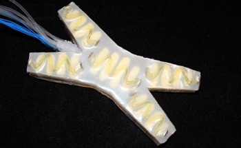 Soft Robot Equipped with Feedback Control Helps Detect Damage and Self-Heal