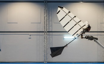 New Method Allows Flapping-Wing Robot to Land Autonomously on a Perch