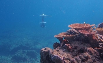 Characterization of the Seafloor Environment and its Changes