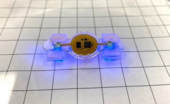 Miniature Biological Robots Learn a New Trick