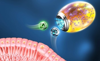 Gastrointestinal Inflammation Therapy with EMS via Micro or Nanorobots
