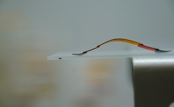 Gecko-Inspired Soft Robot Can Climb Walls