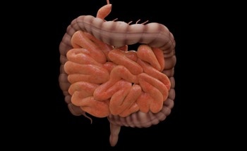 New AI Model Could Predict Flare-Ups and Complications After Reading Biopsies