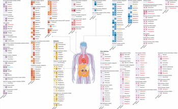 AI Predicts Interactions Between Paxlovid and Prescription Drugs