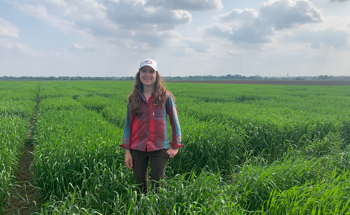 AI Offers New Hope to Solving Wheat Disease