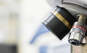 Starsky Utilizes AI Technology to Generate Top-Quality Content and Images in Seconds