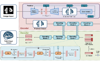 New Hierarchical Shape-Perception Network for Better 3D Brain Reconstruction