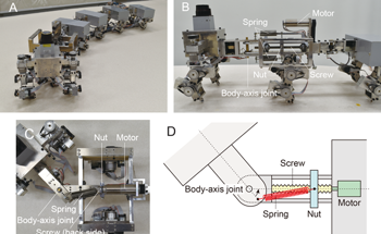 Examining the Efficient Locomotion of a Myriapod Robot