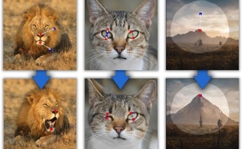 Revolutionizing Digital Image Processing with Novel AI-Developed DragGAN