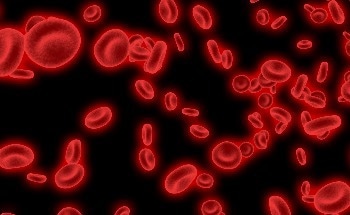 Techcyte: Clinical Validation Study Completed for AI-Assisted Diagnosis of Bacterial Vaginosis
