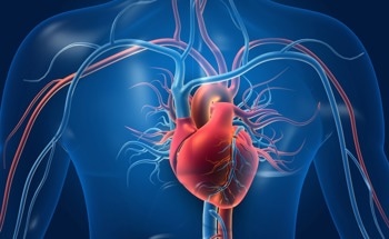 AI-QCA Holds Promise for Accurate Analysis of Heart Disease