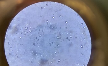 AI Microbes to Help Boost the UK’s Burgeoning Green Industry