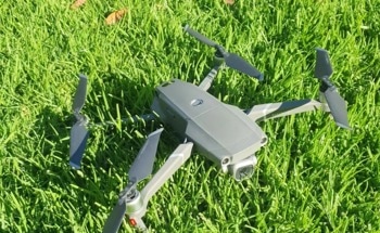 Drones and Other Tech Have Major Roles in Conserving Koalas and Other Species