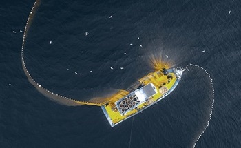 AI Bot Designed to Tackle Illegal Fishing