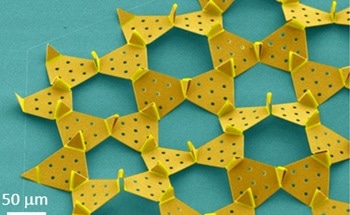 Hummingbird Beak-Inspired Micro Device Design