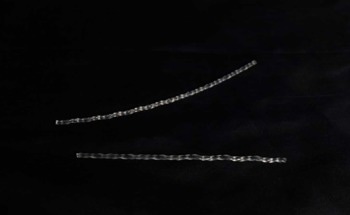 “Brainless” Soft Robot Capable of Maneuvering Dynamic Environments