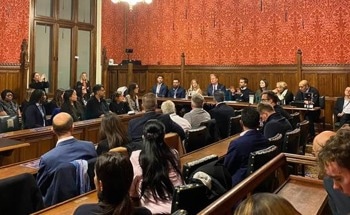 AI Industry Chiefs Raise Regulatory Fears in Parliament
