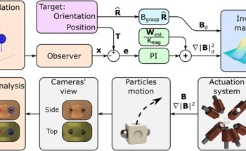 The Magnetic Microrobots With a Promising Biomedical Future