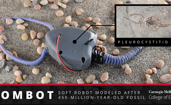 Uncovering the Mysteries of Ancient Marine Creatures with Soft Robotics