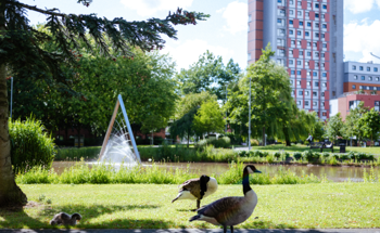 New Microsoft AI-Powered Chat Available to Staff at Aston University