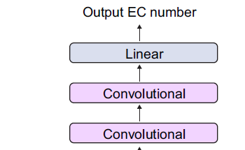 AI Reveals Enzyme Functions in E. coli Proteins