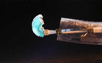 Innovative Robotic Catheter Revolutionizes Cardiac Surgery