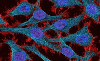 Tumor Genetics to Gauge Treatment Outcomes