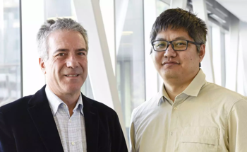 Magnet-Guided Microrobots Navigate Arteries to Treat Liver Tumors