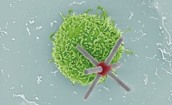 Spinning Robots Mimic Cells to Unlock Immune Response Secrets