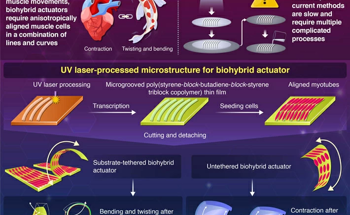 Novel Approach to the Easy Fabrication of Biomimetic Robots