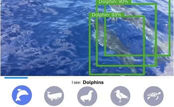 What Role Is AI Playing in Revolutionizing Marine Data Collection?