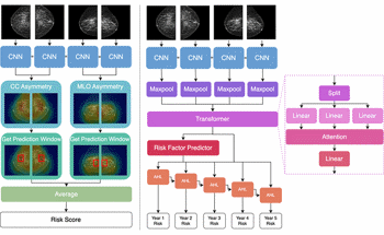 Deep Learning Model for Predicting Breast Cancer