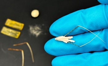HybriBot as a Biodegradable Vector for Reforestation