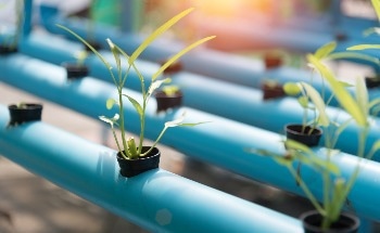 POLIDAR: A Simple and Cheap Crop Monitoring Technology