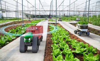 Robotics in Greenhouse Horticulture: A Review