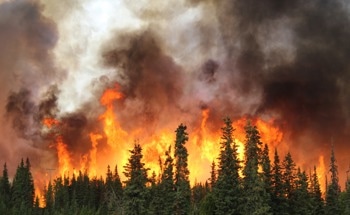 Hyperspectral Imagery-Based Onboard AI for Fire and Smoke Detection