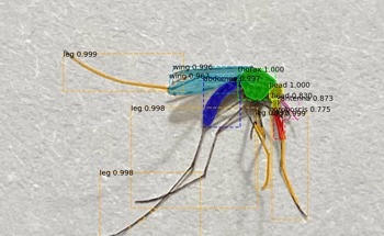 AI to Help Combat Malaria in Africa