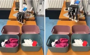 Intelligent Robots Get a Grip on Garbage Sorting
