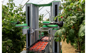 Fieldwork Robotics Launches New Robotic Model: Fieldworker 1 Establishes Collaboration with Costa Group