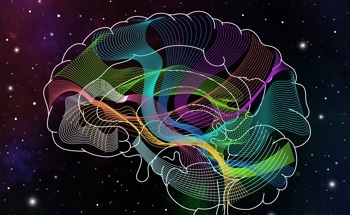 NeuroTrALE Transforms Brain Mapping with AI