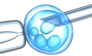 AI Enhances IVF with Accurate Embryo Selection