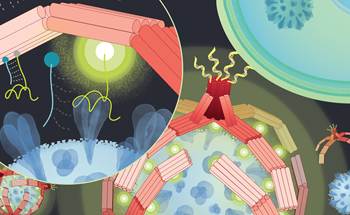 DNA-Based Nanorobotic Gripper for Viral Detection and Inhibition