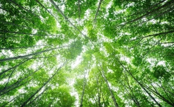 Novel AI-Driven Approach to Climate Modeling