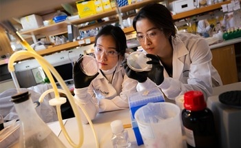 An AI-Driven Approach to Functional Genomics